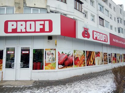 Profi Go Strada Aprodul Purice 11