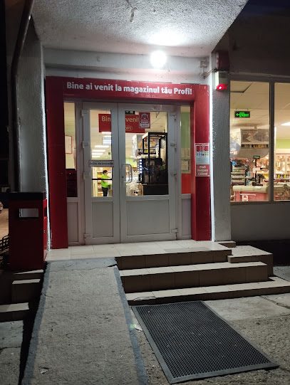 Profi Loco Strada Castanului 3