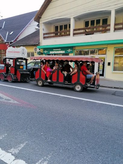 Profi Loco Strada Oltului 1