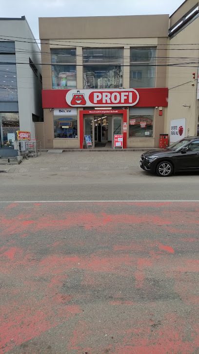 Profi Standard Baicoi str. Republicii nr. 324А