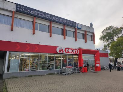 Profi Standard Piata Arenei nr 7