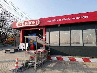 Profi Standard Șoseaua Păcurari 138