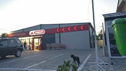 Profi Standard Strada Craiovei 34