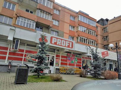 Profi Standard Strada Dimitrie Cantemir 2