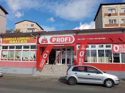 Profi Standard Strada Lacului 24