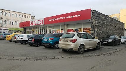 Profi Standard Strada Stejarului fn