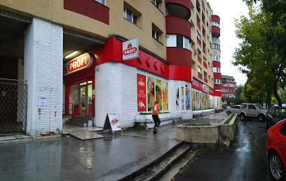 Profi Standard Strada Tâmpei 6