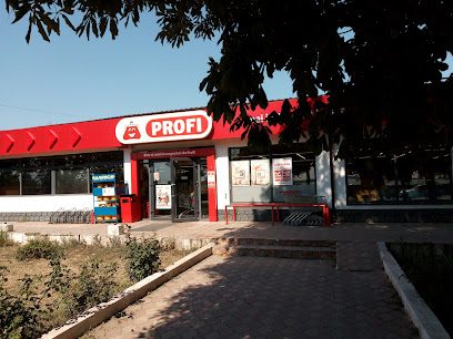 Profi Standard Vasile Alecsandri 348