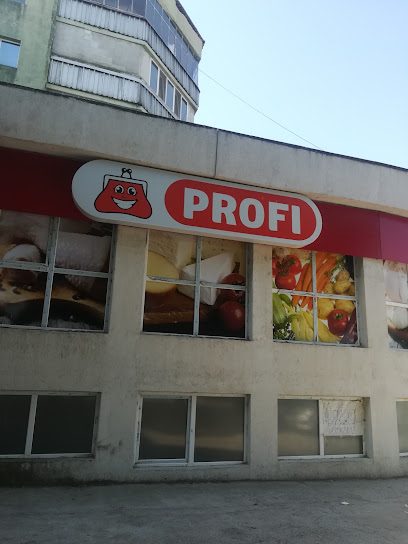 Profi Standard str. Castanelor bl. 32