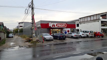 Profi Standard str.ada
