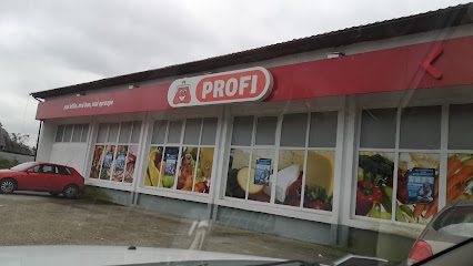 Profi Str. Forestierului 175