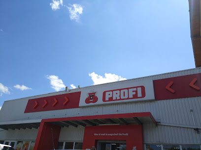 Profi Str Satu Mare Nr 3