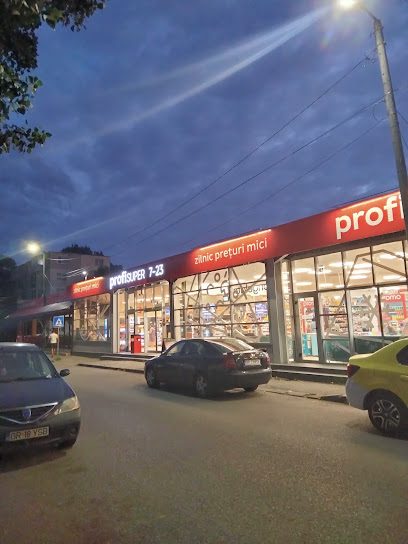 Profi Str. Tineretului. 55а