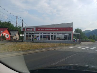 Profi Strada Barajului fn