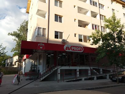 Profi Strada Castanilor 12