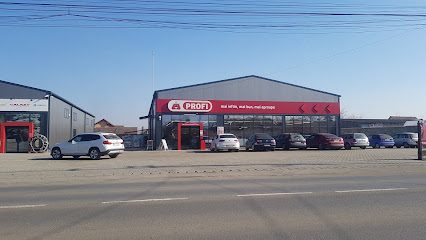 Profi Strada Dorin Pavel 93