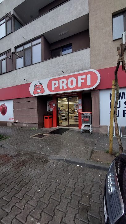 Profi Strada Fabricii 25