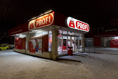 Profi Strada Mioriței nr 11