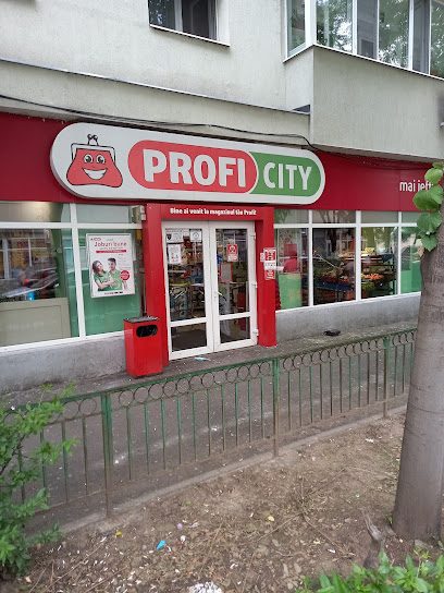 Profi Strada Stolnicul Vasile 4