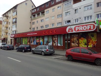 Profi Strada Vasile Aaron 20