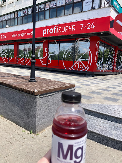 Profi Super Bulevardul Tudor Vladimirescu 21