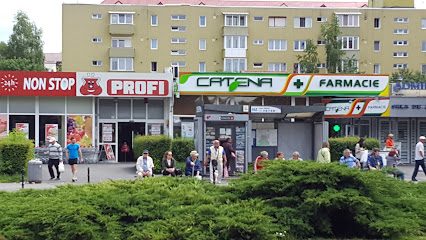 Profi Super Bulevardul Victoriei nr 2