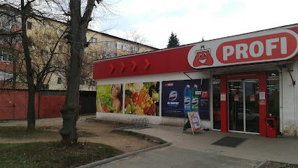 Profi Târgoviște Avram Iancu Strada Avram Iancu 10