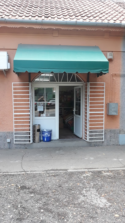 R&A Dinulescu Shopping Strada Bujorilor 124-130