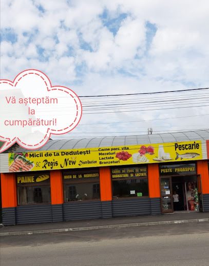 REGIS NEW DISTRIBUTION Str. Albești