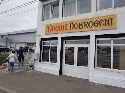 Țăranii Dobrogeni Bulevardul I. C. Brătianu 138