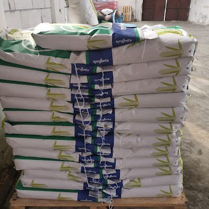ULMEANA SRL Strada Petre Dulfu 119