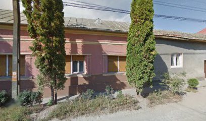 VASICOM S.R.L. Valea lui Mihai 415700