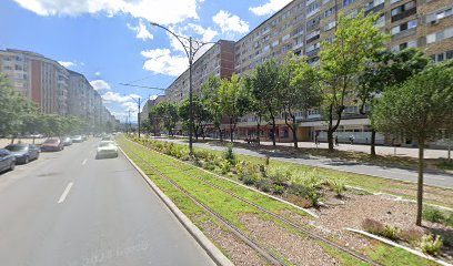 VIITORUL CĂRĂŞAN S.C.A. Bd. Republicii