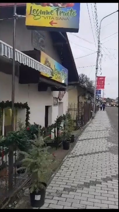 Vita Sana Legume Fructe Strada Unirii 39