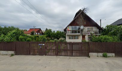 WESTERN S.R.L. Strada Vasile Lupu 3