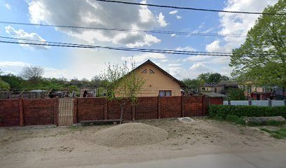 www.CasaDeLaTara.shop.ro Plenița